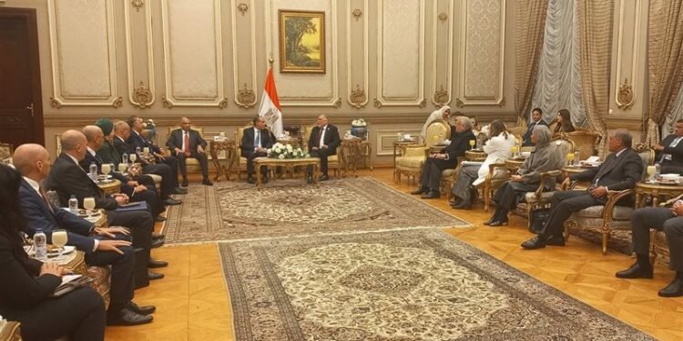 وزير الخارجية: الفترة المقبلة حاسمة في ملف حقوق الإنسان بعد عودة مصر للمجلس العالمي