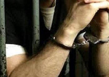 الإعدام لـ 3 متهمين بالقتل العمد واستعراض القوة في القليوبية