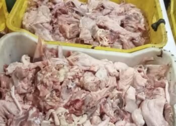 ضبط دواجن فاسدة ومذبوحة خارج المجازر بالجيزة