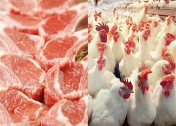 بشرى سارة.. نقابة الفلاحين: انخفاض أسعار اللحوم والدواجن خلال شهر رمضان