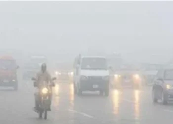 الأرصاد: طقس شديد البرودة اليوم الأربعاء 31 ديسمبر مع شبورة كثيفة