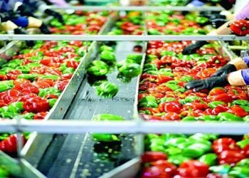 غرفة الصناعات الغذائية: لا مجال للتشكيك في جودة المنتج المصري دون أدلة علمية