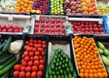 أسعار الخضراوات والفاكهة اليوم الجمعة 5 ديسمبر 2025 في سوق العبور