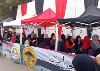 انتظام التصويت في الدوائر الـ19 الملغاة.. واللجان تؤكد: لا مخالفات حتى الآن