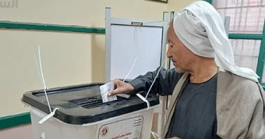 الإدارية العليا تبدأ نظر 31 طعنًا على نتائج 19 دائرة ملغاة في انتخابات النواب