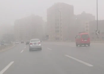 طقس بارد وشبورة كثيفة اليوم الجمعة