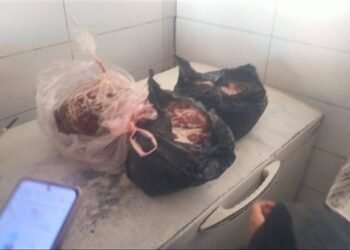 ضبط 112 كيلو لحوم مجهولة المصدر ودون أختام في القليوبية