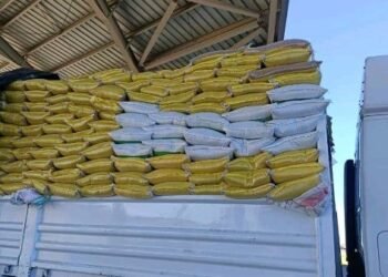 جمارك السلوم تضبط محاولة تهريب بذور زراعية ممنوع تصديرها.. قيمتها ستصدمك