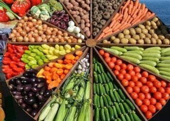 أسعار الخضراوات والفاكهة اليوم السبت 27 ديسمبر 2025 داخل سوق العبور