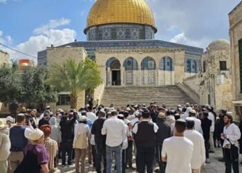 اقتحام واسع للأقصى في ثاني أيام «الحانوكا» وإغلاق باب القطانين أمام المصلين