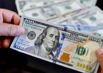 اختفاء خادمة بعد سرقة 5000 دولار من منزل دبلوماسي بالشيخ زايد