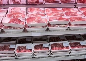 أسعار اللحوم اليوم الاثنين 22 ديسمبر 2025 في الأسواق