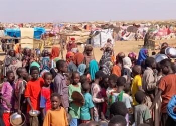 الاتحاد الأوروبي يطلق جسرًا جويًا لمساعدة دارفور في خضم الحرب السودانية