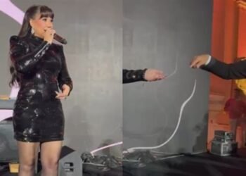 بعد طلاقه.. مصطفى أبو سريع يفجر مفاجأة ويعلن رغبته في الزواج من شيرين عبد الوهاب: «هبقى أجدع من حسام حبيب»