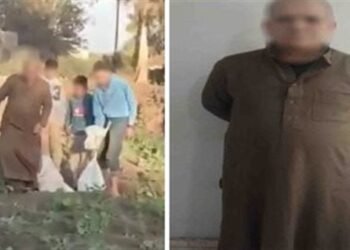 القبض على المتهم بقتل الكلاب ووضعها في أجولة بالغربية