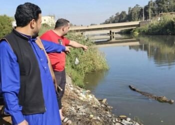 اصطياد تمساح قرية السدرة بالشرقية.. والأجهزة التنفيذية تعيد الطمأنينة للأهالي