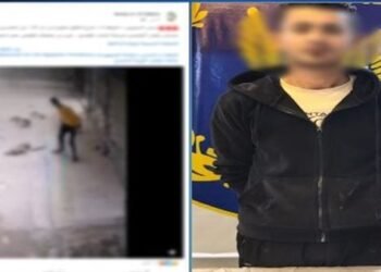 لنباحه وتهجمه عليه.. ضبط المتهم بالتعدي على كلب في السلام