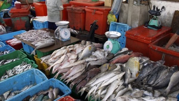 أسعار الأسماك اليوم الأربعاء 24 ديسمبر 2025 في الأسواق