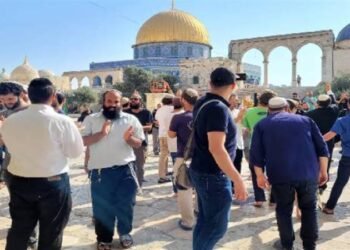 مستوطنون يقتحمون المسجد الأقصى بحماية قوات الاحتلال