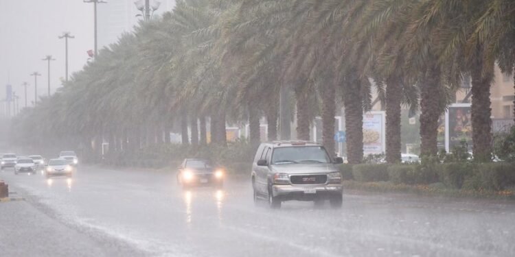 طقس الثلاثاء 16 ديسمبر.. شبورة كثيفة وأمطار متفرقة ونشاط رياح