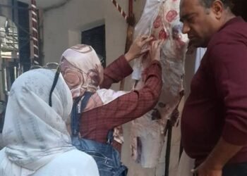 ضبط 100 كجم دواجن غير صالحة للاستهلاك الآدمي في شبرا الخيمة