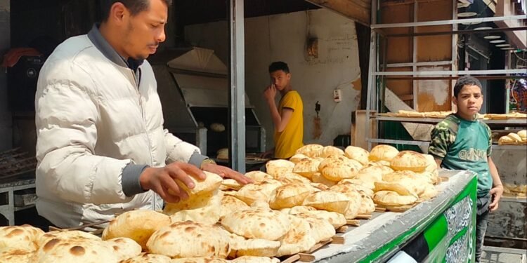 شعبة المخابز تحذر أصحاب أفران الخبز المُدعم من بيع الرغيف بأكثر من 20 قرشًا