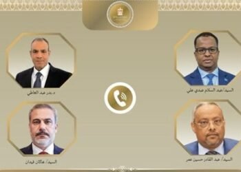 وزراء خارجية مصر والصومال وتركيا وجيبوتي يدينون اعتراف إسرائيل بإقليم الصومال