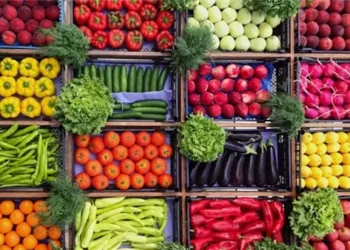 أسعار الخضراوات والفاكهة اليوم الخميس 25 ديسمبر 2025 داخل سوق العبور