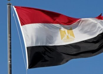 من دعم الفلسطينيين إلى تطوير التشريعات.. مصر توثق جهودها بمناسبة اليوم العالمي لحقوق الإنسان