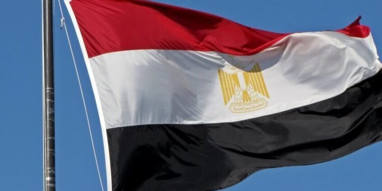 من دعم الفلسطينيين إلى تطوير التشريعات.. مصر توثق جهودها بمناسبة اليوم العالمي لحقوق الإنسان