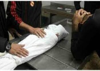 مصرع طفل سوداني إثر سقوطه من شرفة شقته بالطالبية في الجيزة