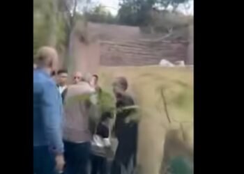 الداخلية تكشف ملابسات مشادة بين أشخاص في القليوبية بسبب خلاف على مقبرة