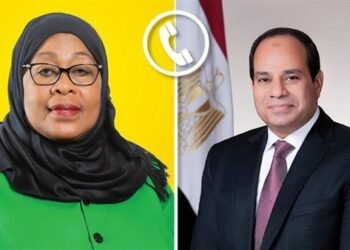 الرئيس السيسي يؤكد استعداد مصر لدفع المزيد من الاستثمارات المصرية إلى السوق التنزانية