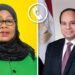 الرئيس السيسي يؤكد استعداد مصر لدفع المزيد من الاستثمارات المصرية إلى السوق التنزانية