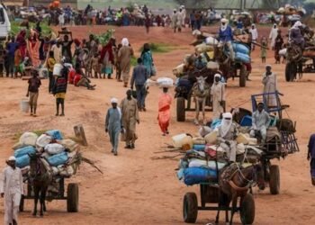 سفير مصر السابق بالسودان: صور الأقمار الصناعية توثق دماء الضحايا في الفاشر