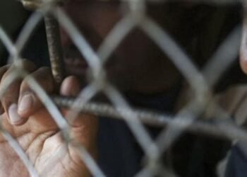 إلغاء حكم حبس مستريح عين شمس 36 سنة