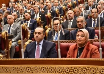 نائب بالشيوخ يرفض تغليظ عقوبة سرقة التيار ويتهم الحكومة باحتكار الكهرباء