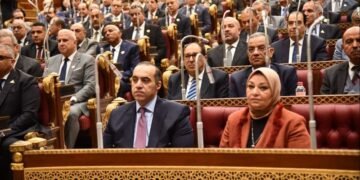 نائب بالشيوخ يرفض تغليظ عقوبة سرقة التيار ويتهم الحكومة باحتكار الكهرباء