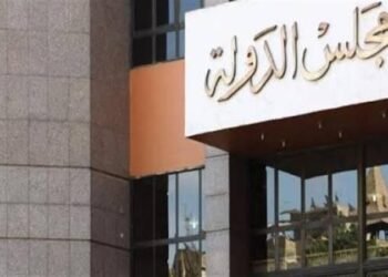 بدء نظر 300 طعن على الجولة الأولى من المرحلة الثانية لانتخابات مجلس النواب