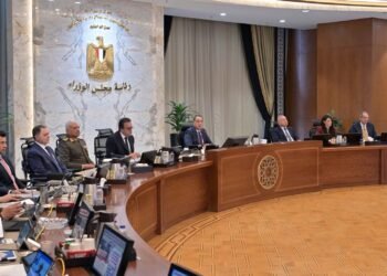 رئيس الوزراء: المعرض الدولي الرابع للصناعات الدفاعية (إيديكس 2025) أصبح يشغل مكانة عالمية في منظومة الصناعات العسكرية والأمنية