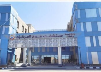 الصحة: تقديم أكثر من 7.8 مليون خدمة طبية بمحافظة القليوبية خلال 11 شهرًا