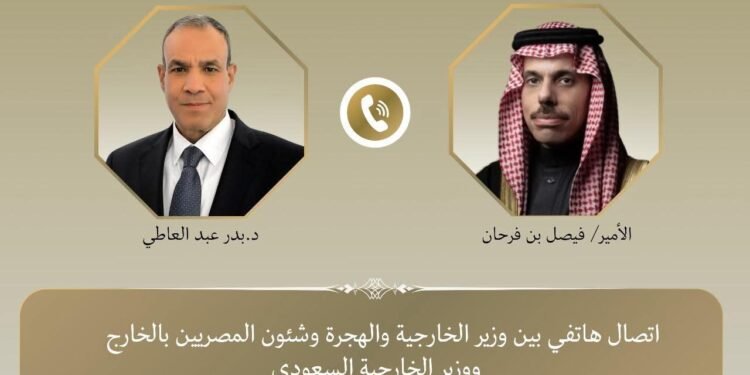 وزير الخارجية: مصر والسعودية تتفقان على دعم تنفيذ قرارات مجلس الأمن بشأن غزة