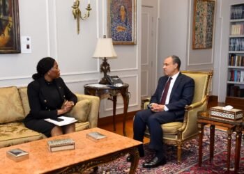 وزير الخارجية: ملتزمون بتوسيع آفاق التعاون الاقتصادي والاستثماري مع جنوب أفريقيا