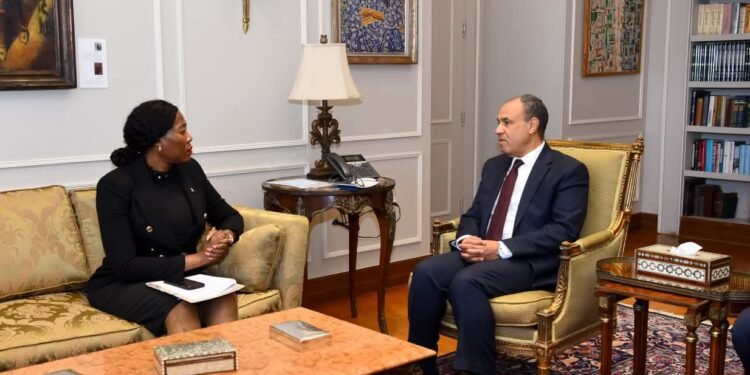 وزير الخارجية: ملتزمون بتوسيع آفاق التعاون الاقتصادي والاستثماري مع جنوب أفريقيا