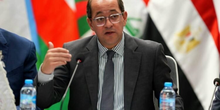 وزير المالية: نستهدف تحويل مصر إلى مركز إقليمي للتصنيع والتصدير إلى أفريقيا وأوروبا وآسيا