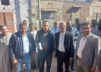 “الزراعة” تنفي علاقة “النمل الأبيض” بانهيار منازل في الأقصر وتوضح الأسباب الحقيقية