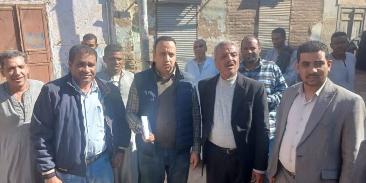 “الزراعة” تنفي علاقة “النمل الأبيض” بانهيار منازل في الأقصر وتوضح الأسباب الحقيقية