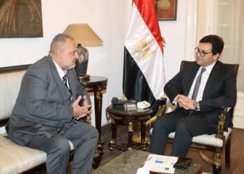 وزارة الثقافة تدعم الفنون الجادة بإنشاء مركز عالمي للتدريب المسرحي بإشراف خالد الصاوي