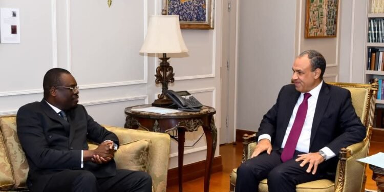 وزير الخارجية: مستعدون لنقل الخبرات الصحية والدوائية المصرية إلى الدول الأفريقية