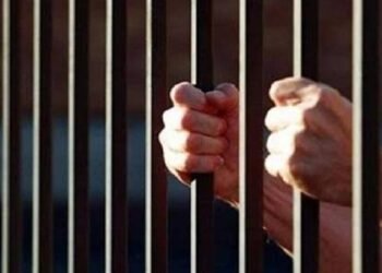 حبس عامل مدرسة دولية اعتدى على تلاميذ بالإسكندرية 4 أيام